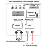 Funkschalter mit Zeitverzögerungsfunktion für DC Linearantrieb / Motor (Modell 0020088)