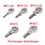 Fischaugen Gelenklager für Linearantriebe